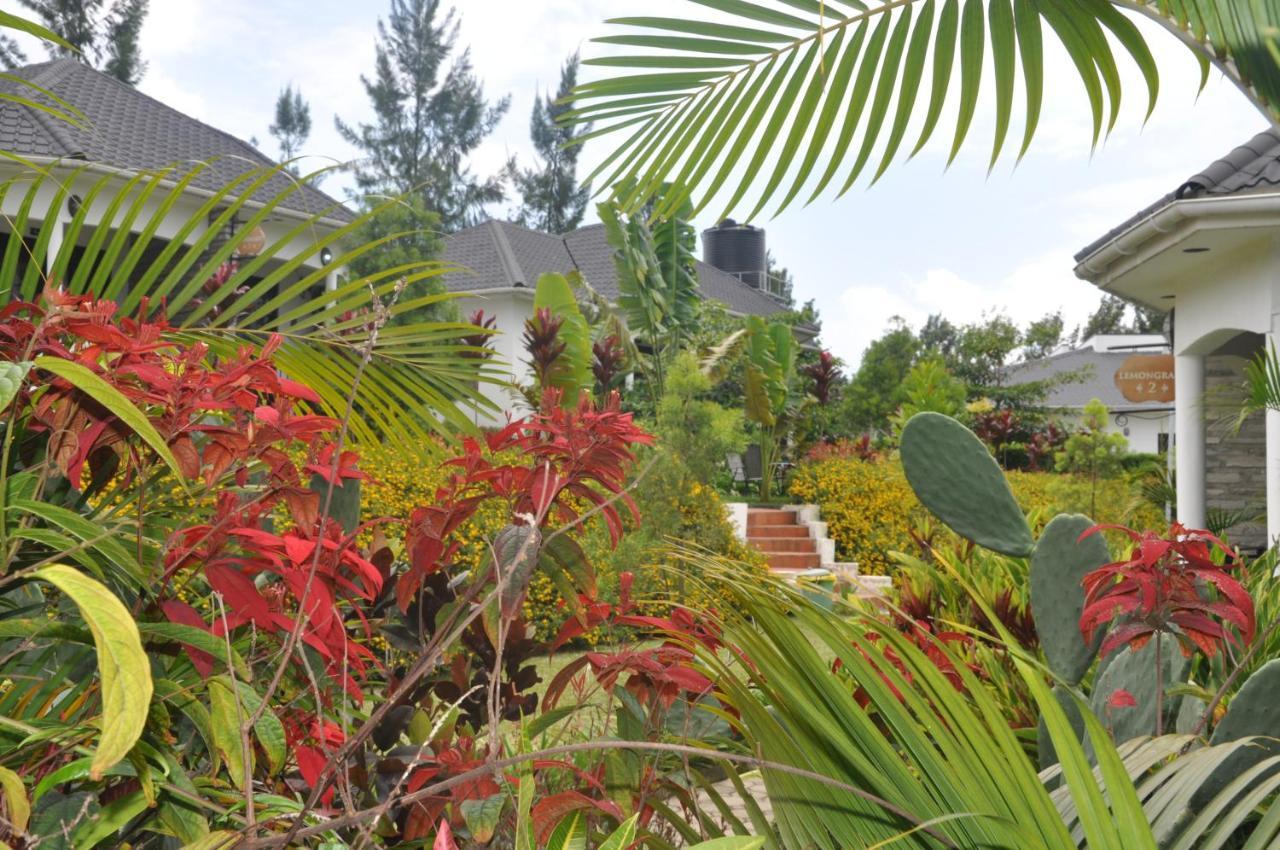 Home Bliss Hotel- Fort Portal Uganda Εξωτερικό φωτογραφία